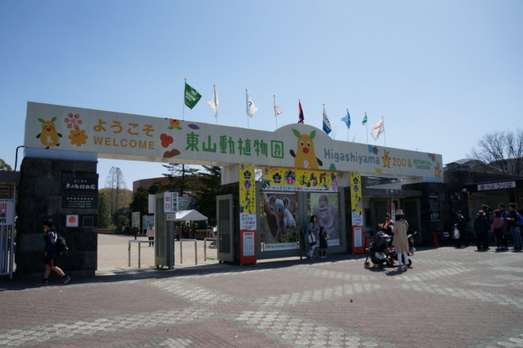 東山動物園,名古屋,動物園,観光,スポット