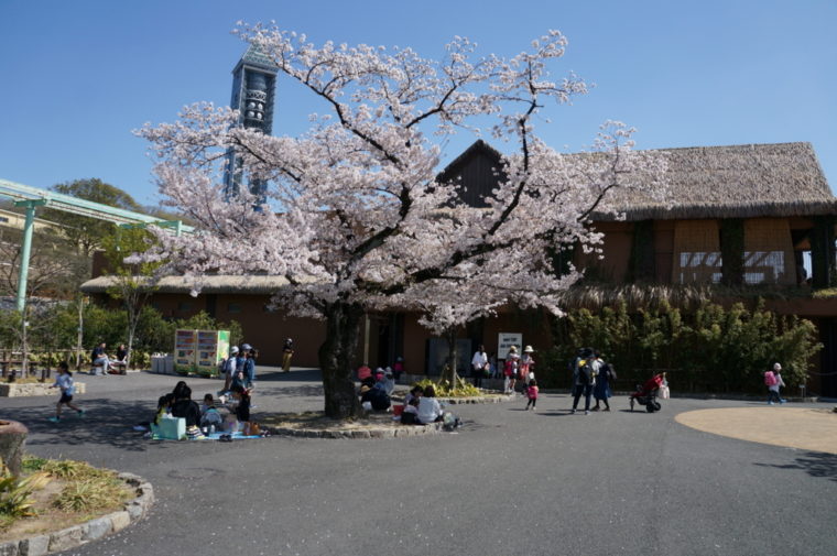 東山動物園,名古屋,動物園,観光,スポット