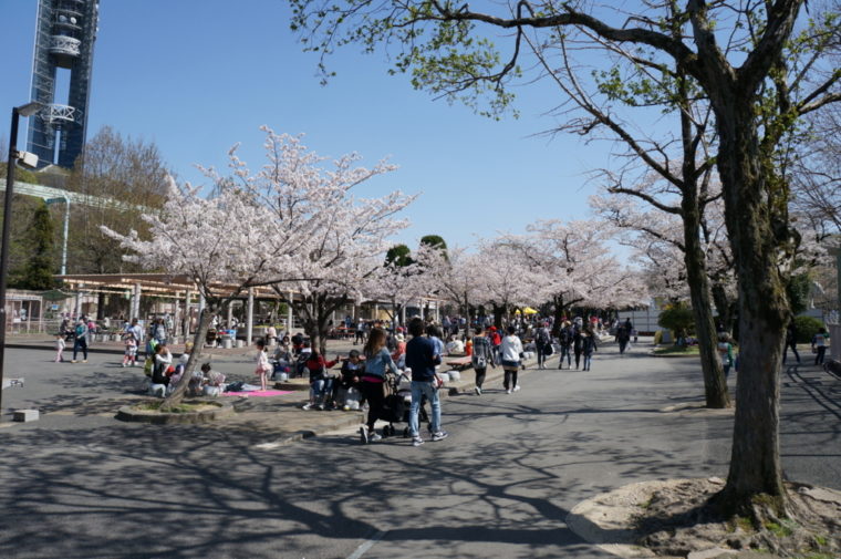 東山動物園,名古屋,動物園,観光,スポット