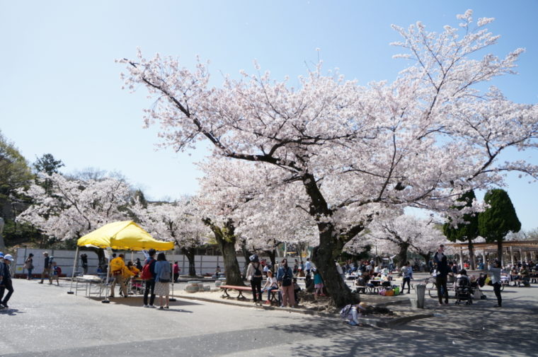 東山動物園,名古屋,動物園,観光,スポット