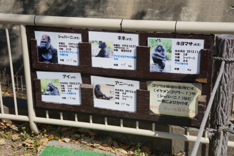 東山動物園,名古屋,動物園,観光,スポット