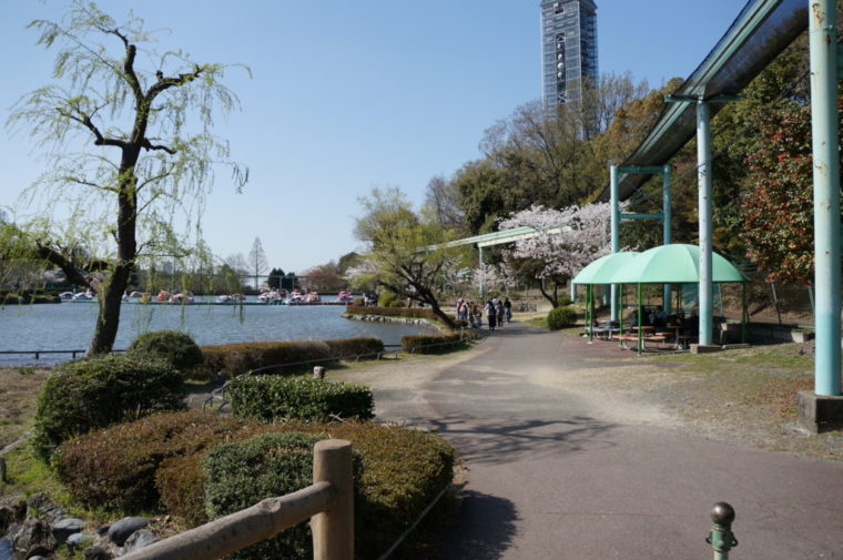 東山動物園,名古屋,動物園,観光,スポット