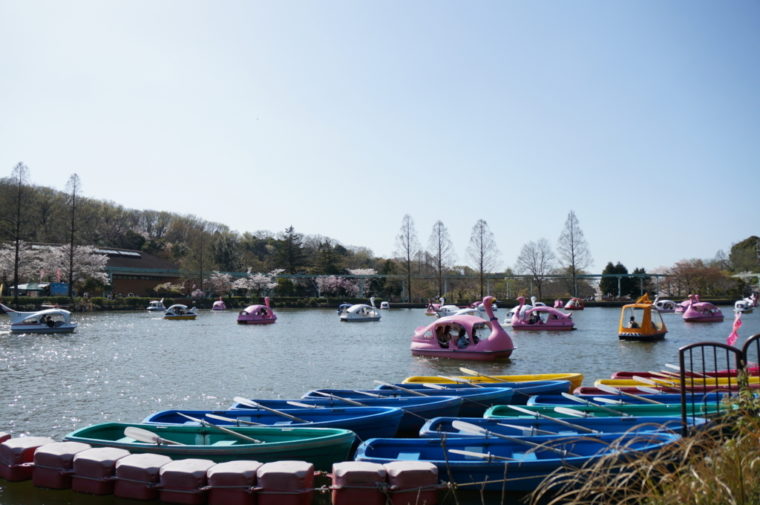 東山動物園,名古屋,動物園,観光,スポット